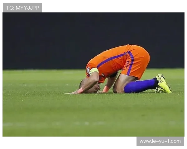 荷兰队力克强敌，世界杯预选赛再进一步